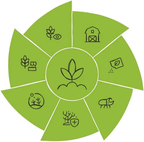 Process Wheel