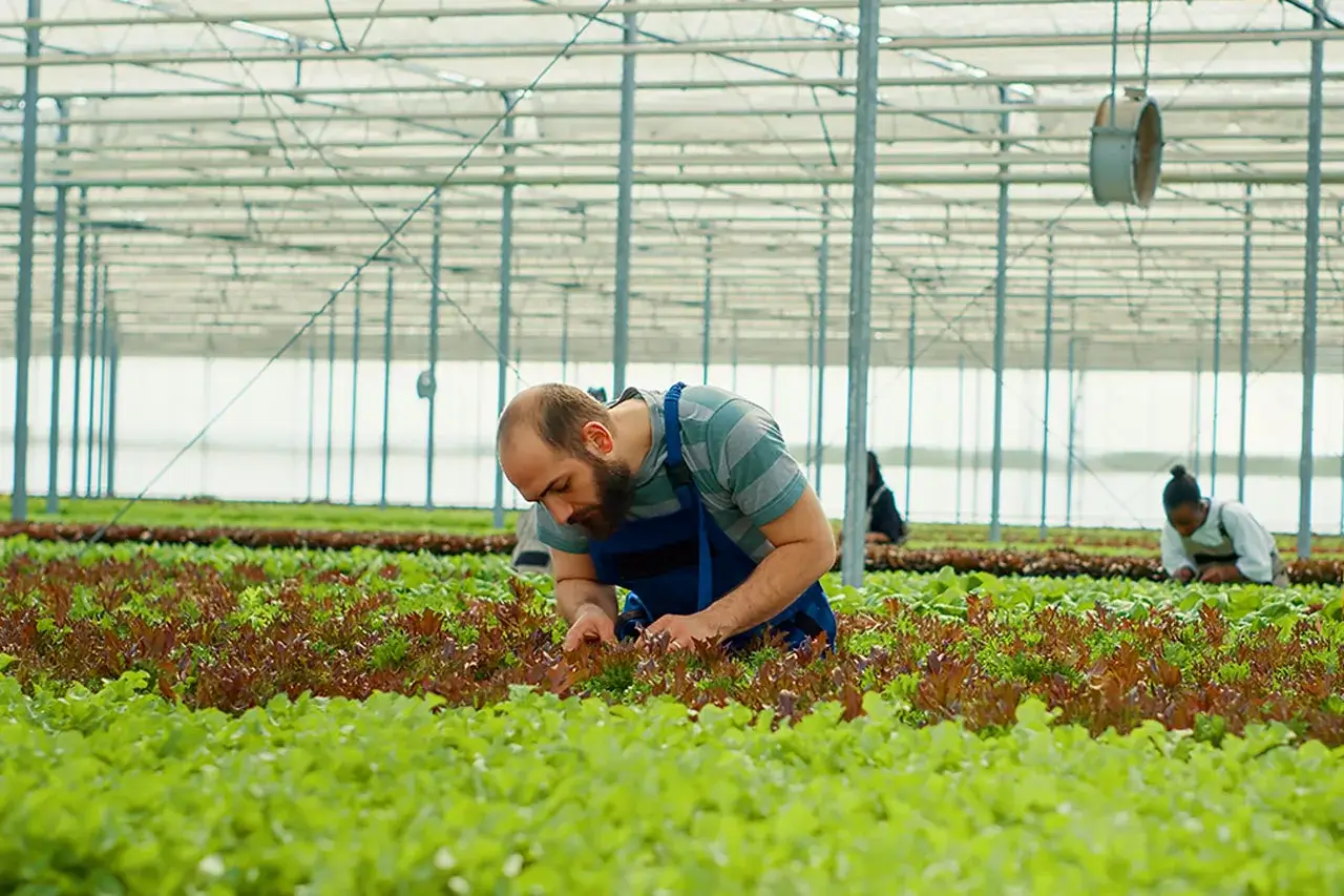Eco-friendly farming