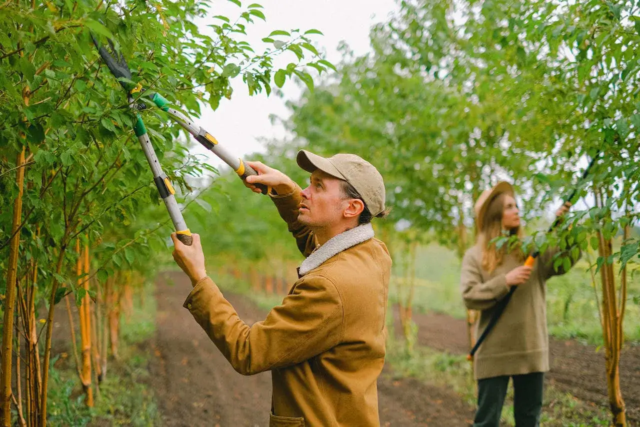 Organic farm solutions